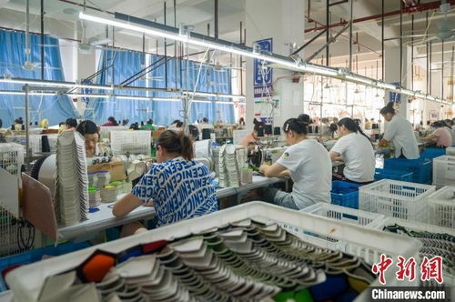 多彩貴州網(wǎng) 務(wù)川 足球生產(chǎn)加工忙