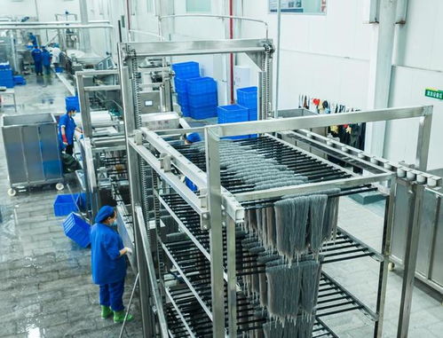 小紅薯如何做成大產(chǎn)業(yè) 一個武陵山區(qū)縣構(gòu)建特色產(chǎn)業(yè)鏈觀察